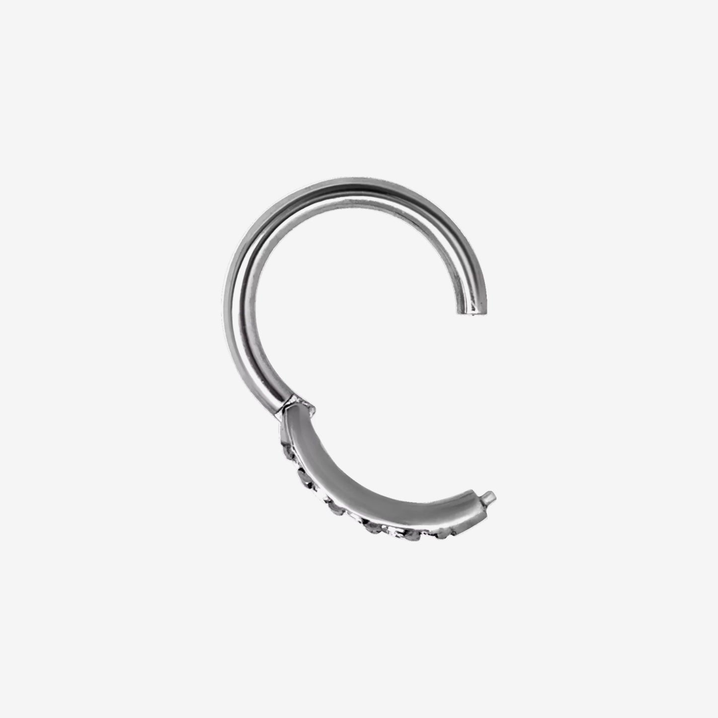 Wildcat Hoop Pave Setting Crystal Top Surgical Steel 316L Basicline - 2059-WARG-PAVS-BASICLINE