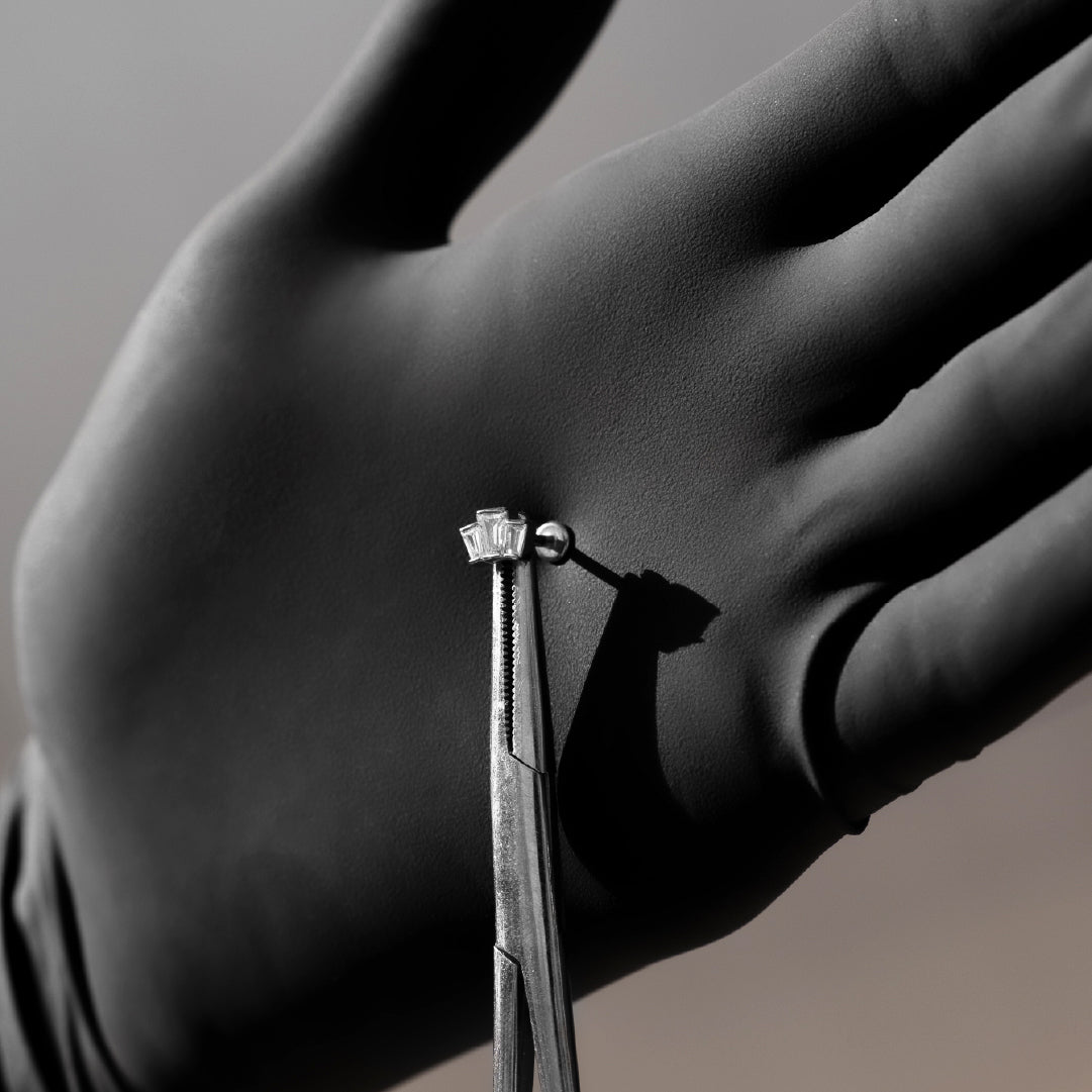 Piranha Labret Crown Shiny Steel Basicline