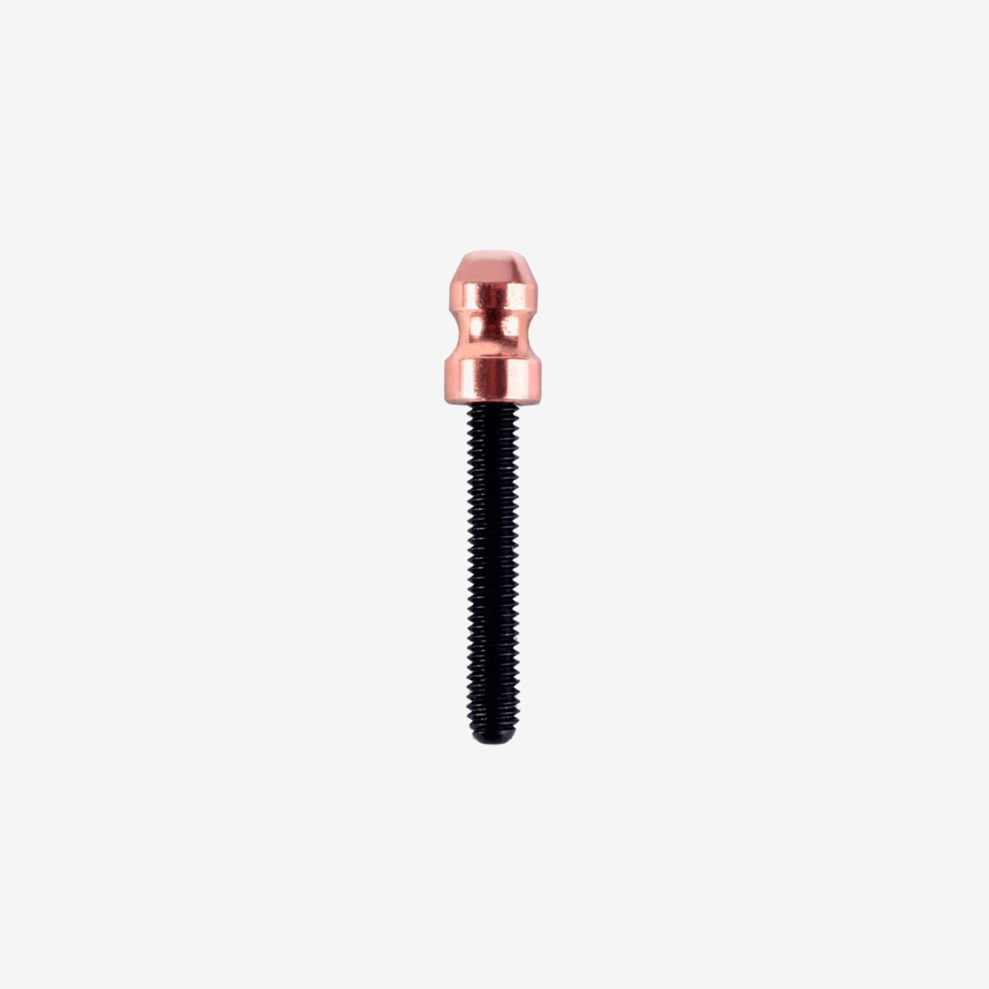 Lauro Paolini Copper Contact Screw