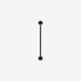 Piranha Barbell Industrial Titanium Black