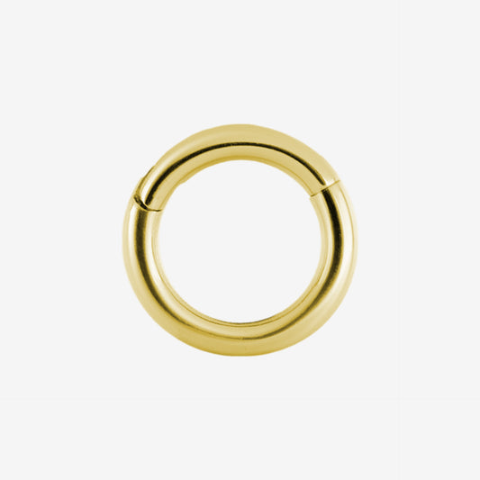 Piranha Hinged Segment Ring Steel Zirconline - 2056-009-020