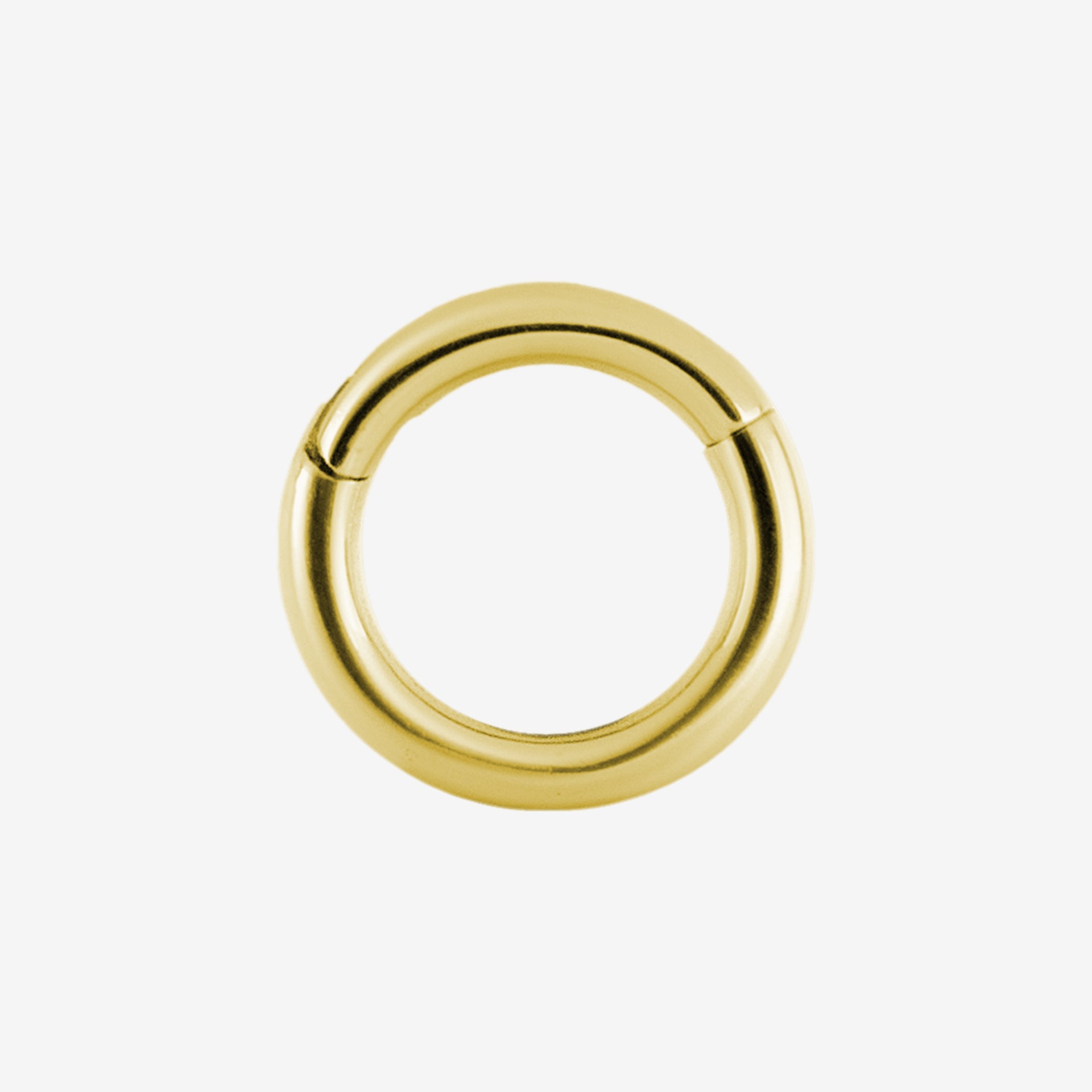 Piranha Hinged Segment Ring Steel Zirconline - 2056-009-021