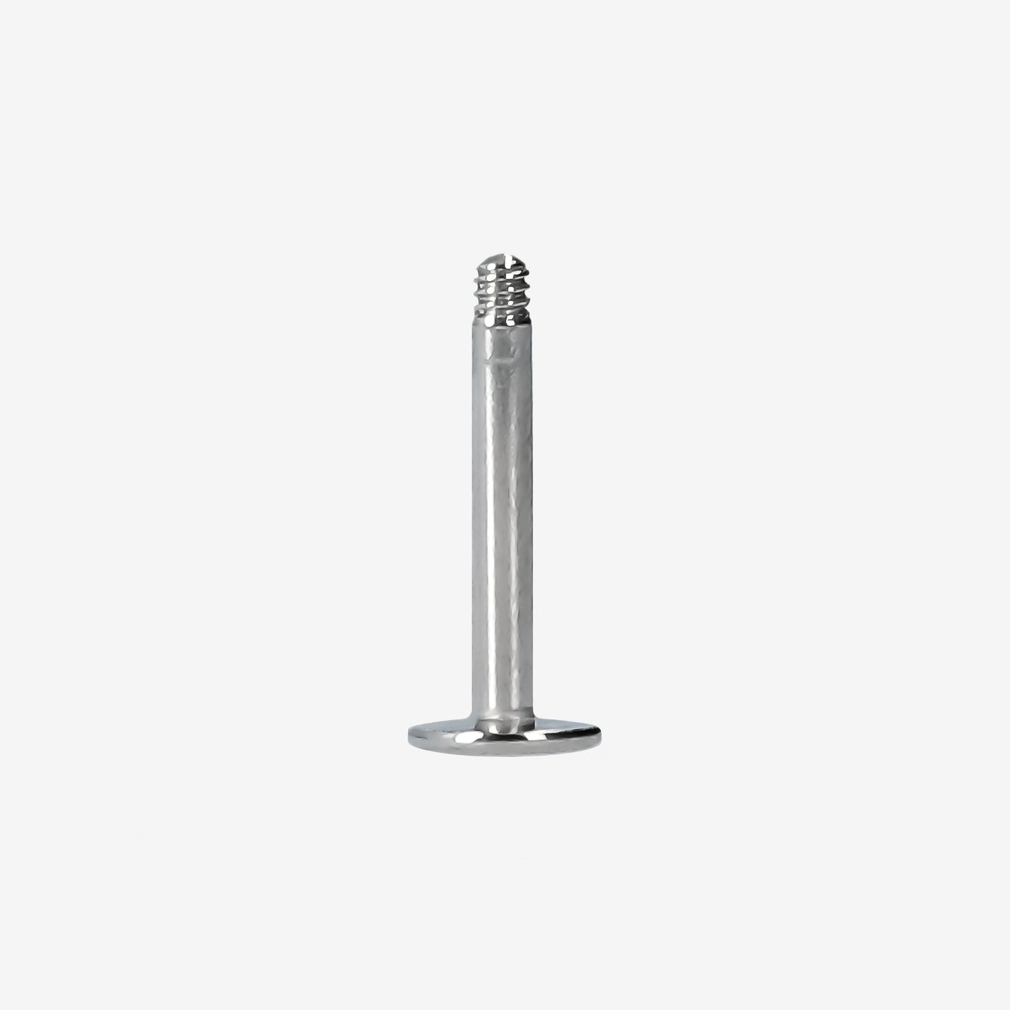 Piranha Base Labret 316L Surgical Steel - 2060-PBL-A