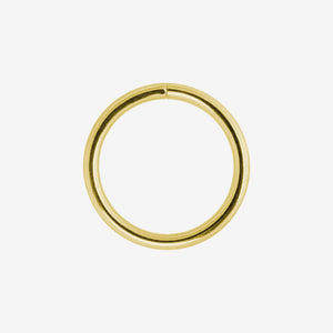 Wildcat Segment Nose Zirconline - 2061-WSN-RL-ZIRCONLINE