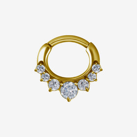 Piranha Septum Sparkling Steel Zirconline