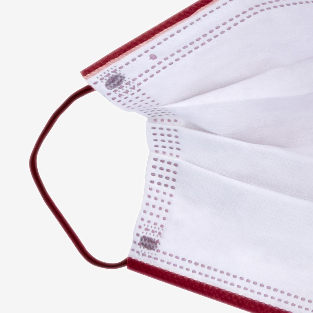 Disposable Mask Protect Plus Type IIR Bordeaux - 4057-042-005