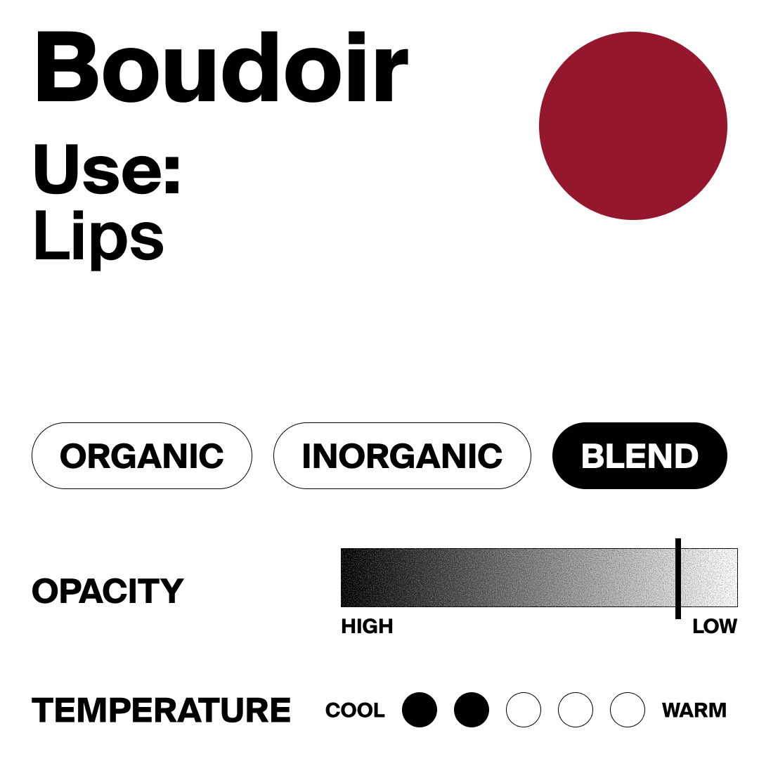 Color swatch with a red circle labeled 'Boudoir' for lip use, surrounded by color selection options.