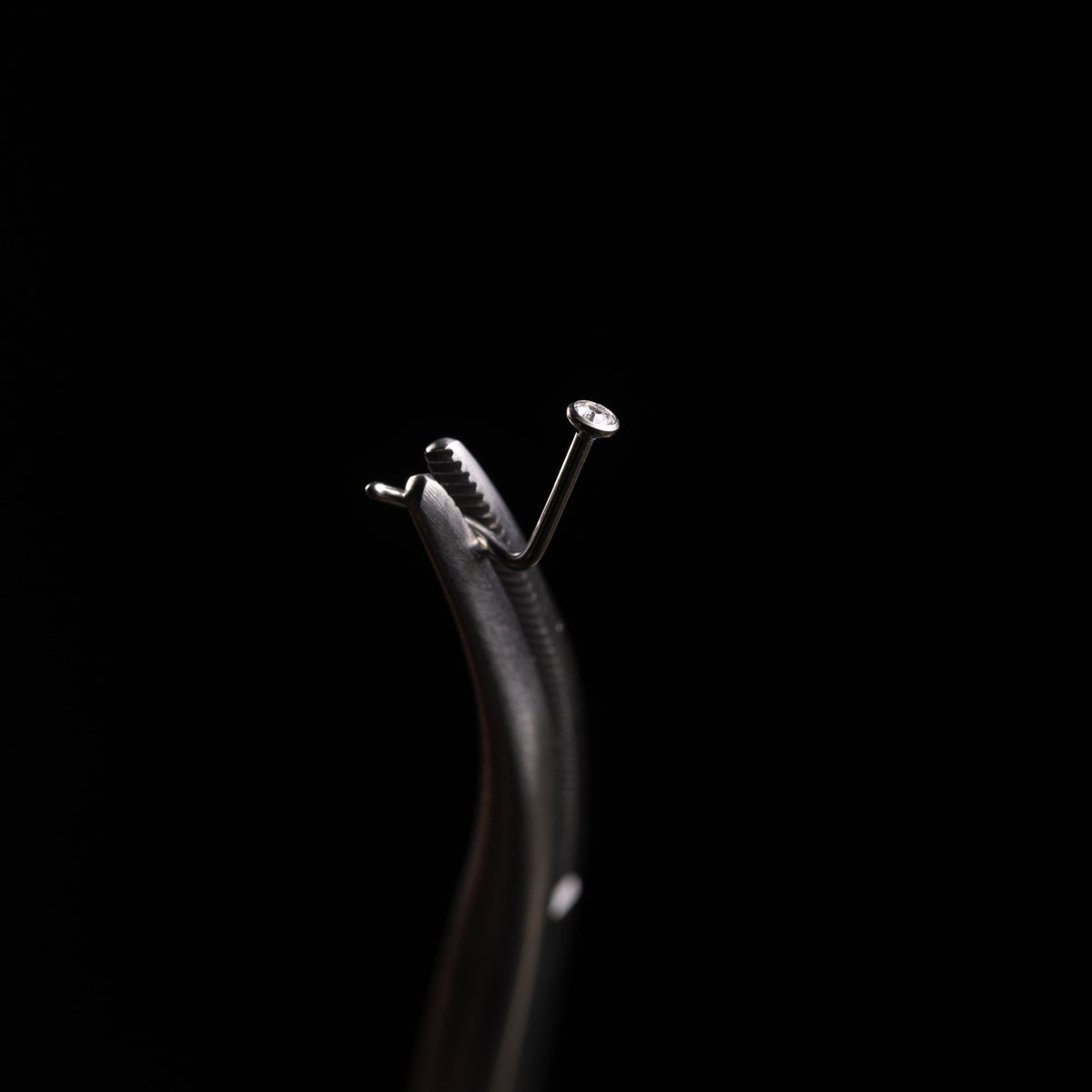 Piranha Nose Polished Titanium with Stone