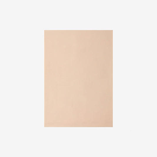 ReelSkin Practice Skin A3