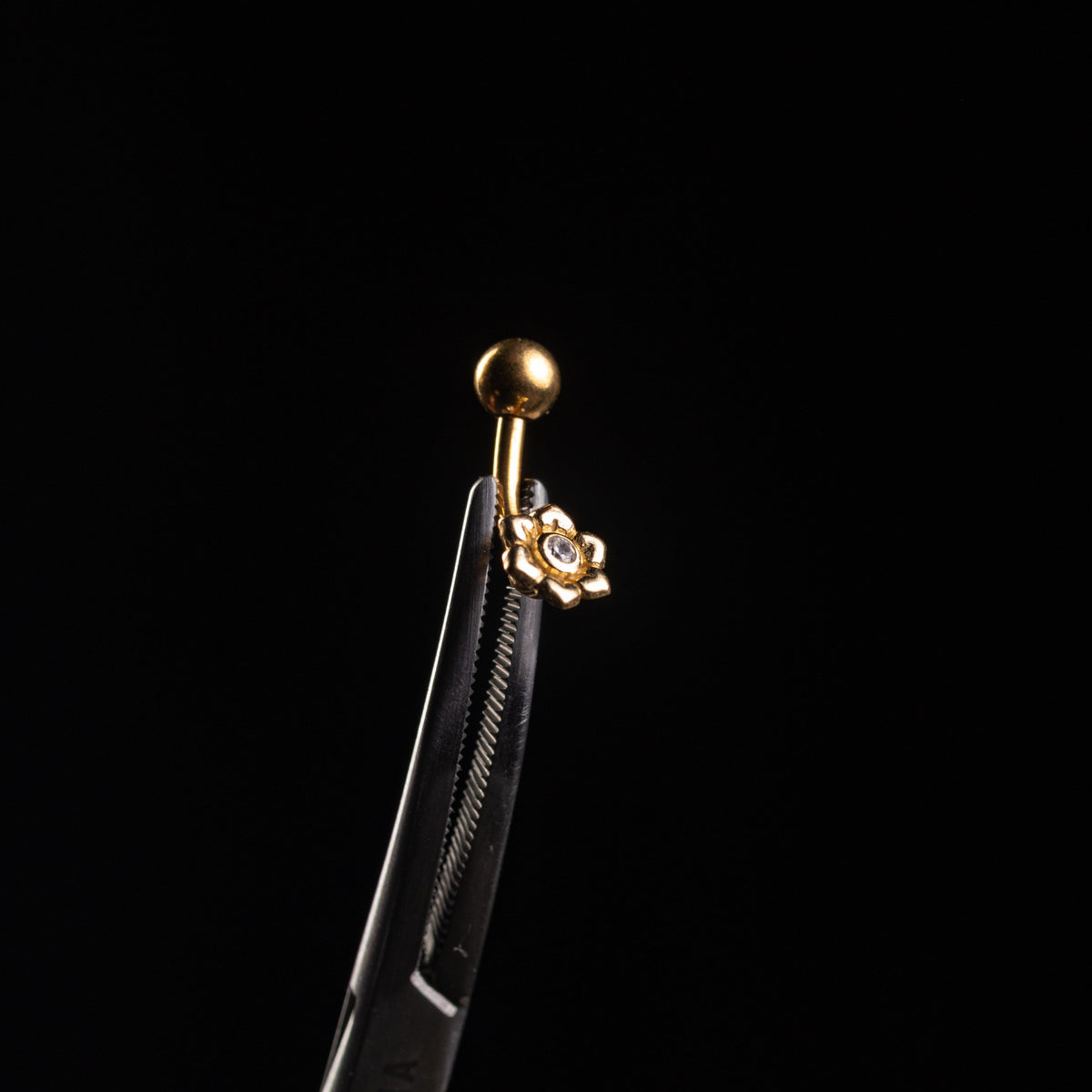 Wildcat Banana Flower Surgical Steel 316L Zirconline